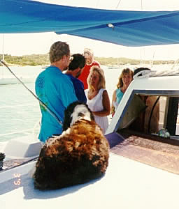 Daisy watches the wedding