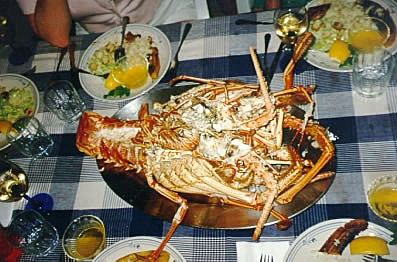 Our lobster ready to be devoured