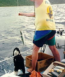 Art brings in a Spanish Mackerel while Daisy supervises