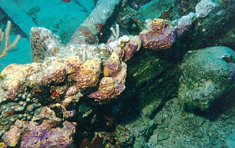 Coral encrusted remnants of the RMS Rhone
