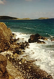 The rocky shore