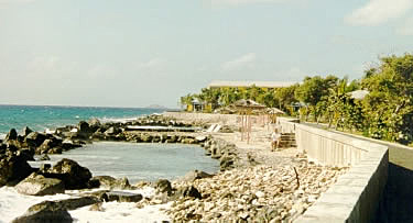 Prospect Reef Hotel Saltwater Pool