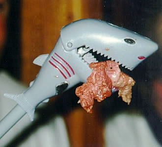And the shark takes a bite!