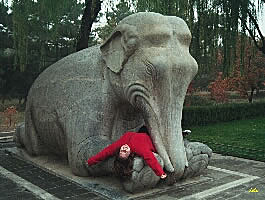 Alicia resting on a stone elephant along the Sacred Way, Ming Tombs, Beijing