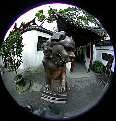 Fisheye of a Ming Lion statue, Yuyuan Garden, Shanghai