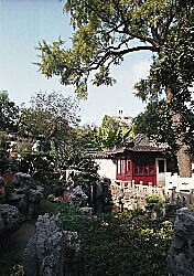 Peaceful garden scene, Yuyuan Garden, Shanghai