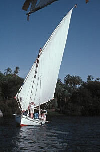 Felluca sailing the niles