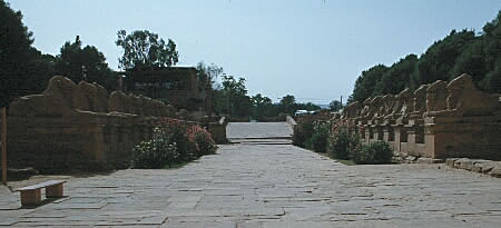 Avenue of Ram's Head Sphinx