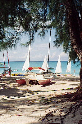 Hyatt Beach Scene