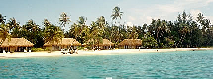 The beachfront huts at the Sofitel Heiva
