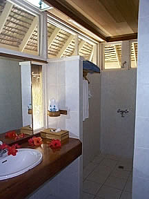 The bathroom with it hugh shower