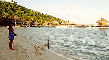 Anne on the beach playing with Buddy, a stray dog
