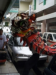 Celebrating the Chinese New Year