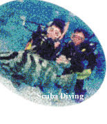 Scuba Diving Link